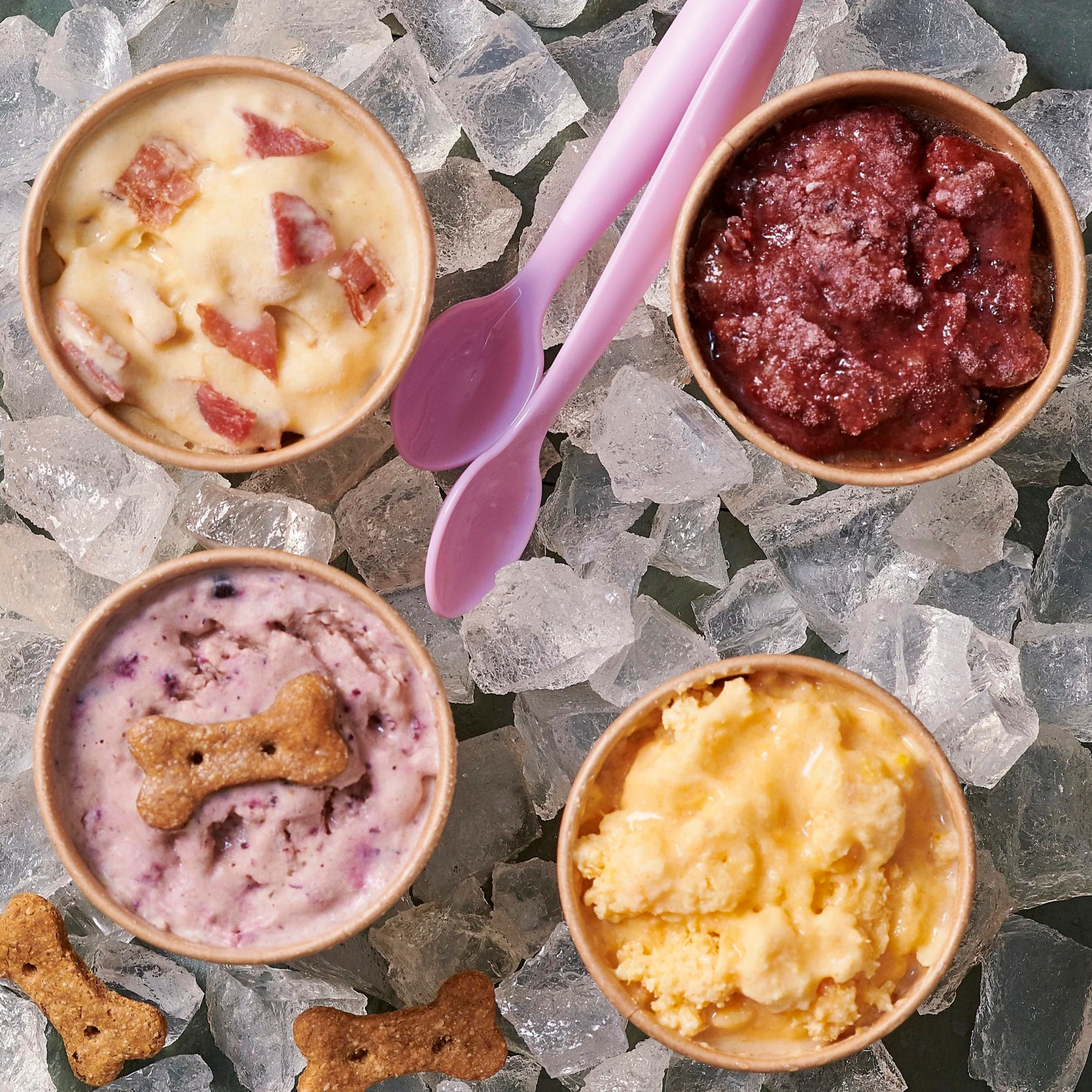 Frozen Pup-Cups — Lick-Worthy Frozen Treats