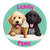 Lickity Paws - Home